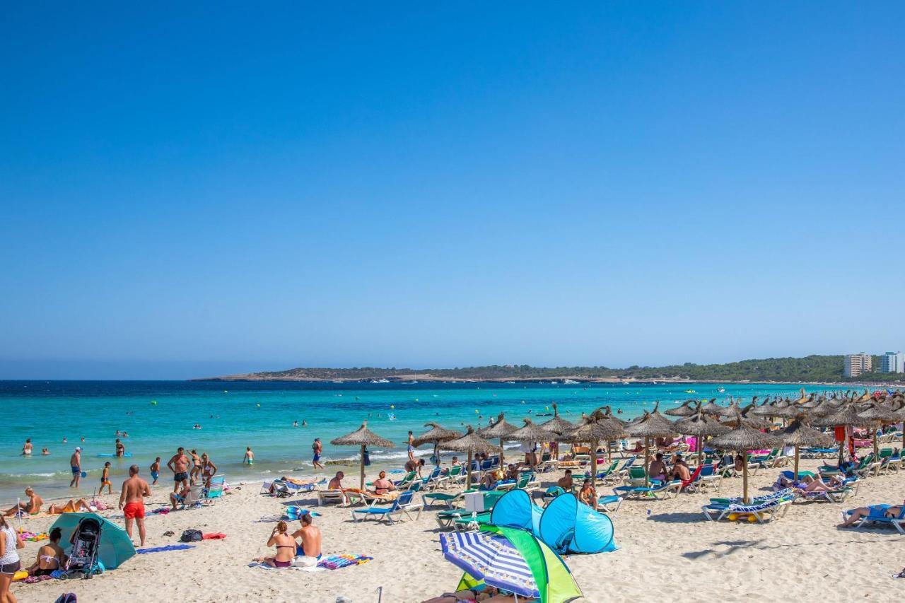Dofi Cala Millor (Mallorca)